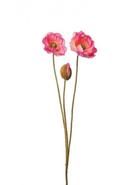 PH Blomster - Valmue 75 cm. Rosa