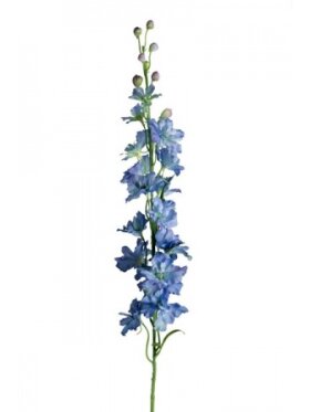 PH Blomster - Delphinium 90 cm. Lys blå