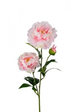 PH Blomster - Pæon 75 cm. Rosa