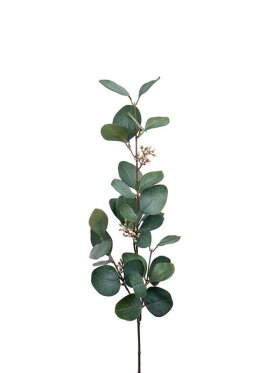 Mr. Plant - Eucalyptus med bær 80CM Mr. Plant - Eucalyptus med bær 80CM