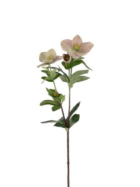 Mr. Plant - Julros grøn 65CM Mr. Plant - Julros grøn 65CM