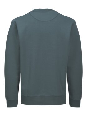 Royal Denim Division - RDDScott Crew Neck sweat Orion