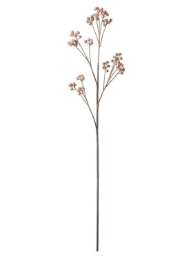 Mr. Plant - Barkkvist med bær 85cm
