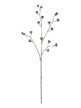 Mr. Plant - Kvist brun 86 cm.