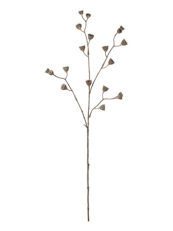 Mr. Plant - Kvist brun 86 cm.