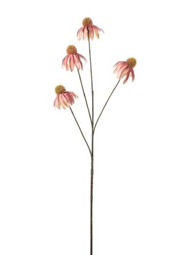 Mr. Plant - Solhat Rosa 80cm. Rosa