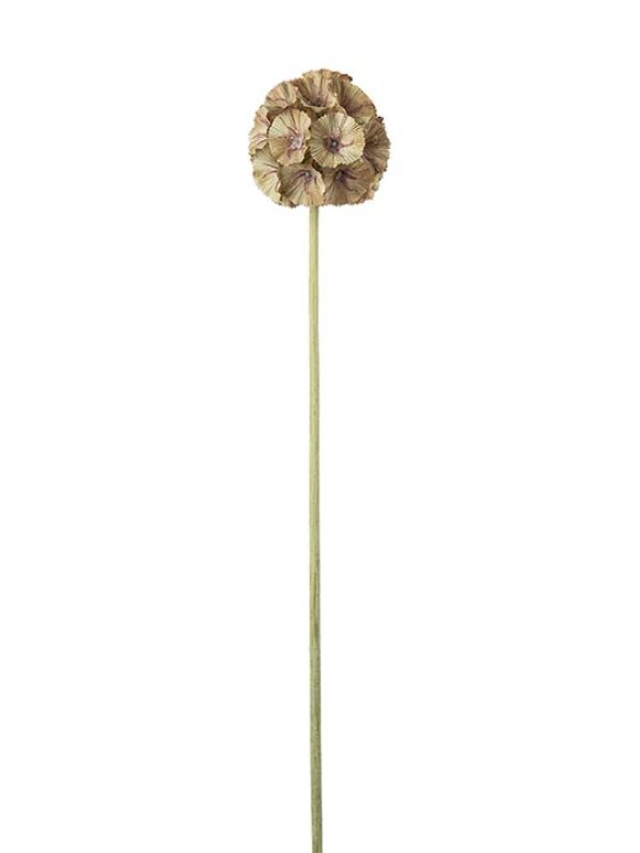 Mr. Plant - Scabiosa grøn 60 cm