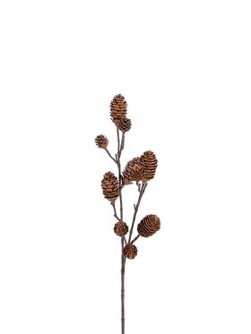 Mr. Plant - Kvist med kogler 70Cm