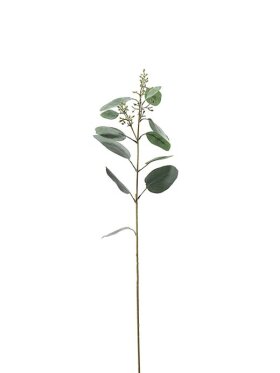 Mr. Plant - Eucalyptus  87 CM grønne bær