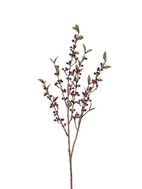 Mr. Plant - Bærkvist Røde 90cm