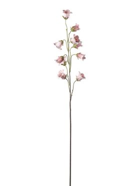 Mr. Plant - blåklocka 85cm  pink