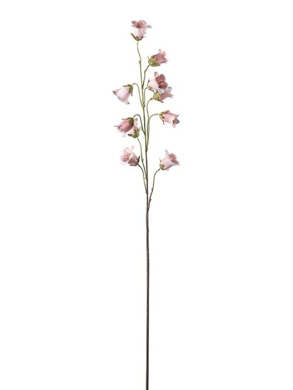 Mr. Plant - blåklocka 85cm  pink
