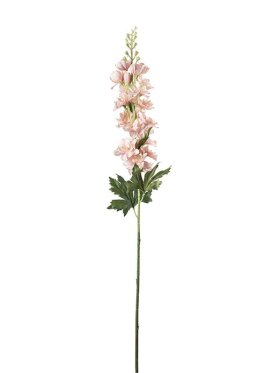 Mr. Plant - Delphinium Pink 75CM
