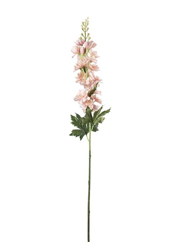 Mr. Plant - Delphinium Pink 75CM