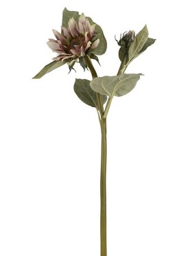 Mr. Plant - Solros 74cm. Pink