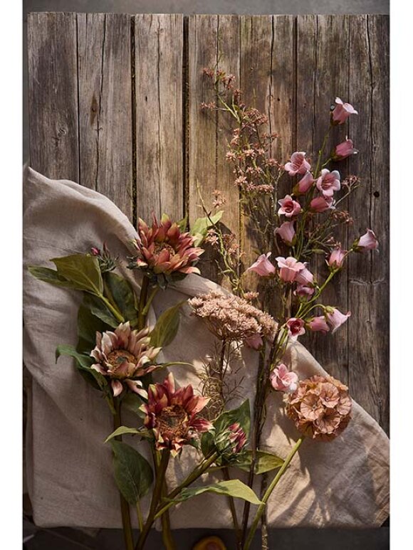 Mr. Plant - Solros 74cm. Pink