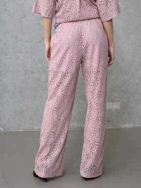 Love & Divine - Love207-43 Pants Mauve