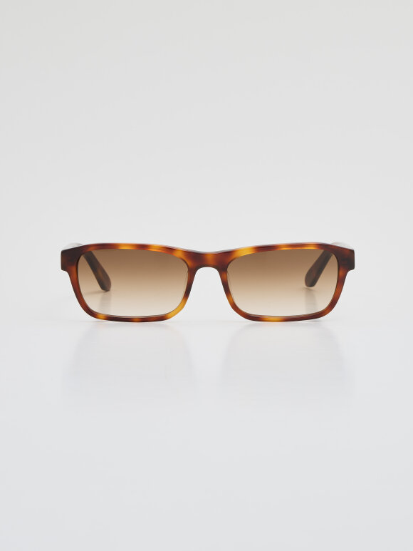 Anatoli - Latiner Solbrille Tortoise