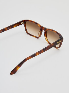 Anatolí - Latiner Solbrille Tortoise