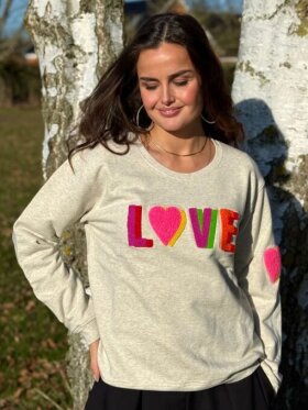 Lulus Love - Sweat Shirt Multi double grey