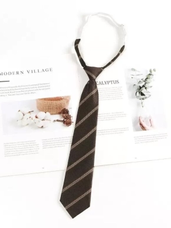 Qnuz - Single Striped tie Marron