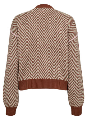 Numph - NURavissi Cardigan Dachshund Numph - NURavissi Cardigan Dachshund