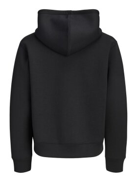 Jack & Jones - JColegacy Sweat Scuba Zip Hood